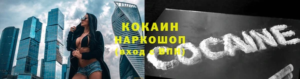 молекула духа Заволжье