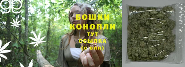 молекула духа Заволжье