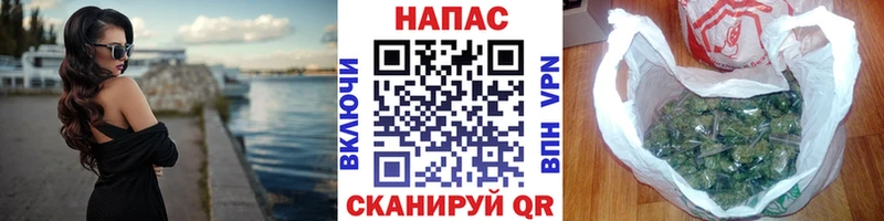 Канабис сатива  Купить где  Буй 